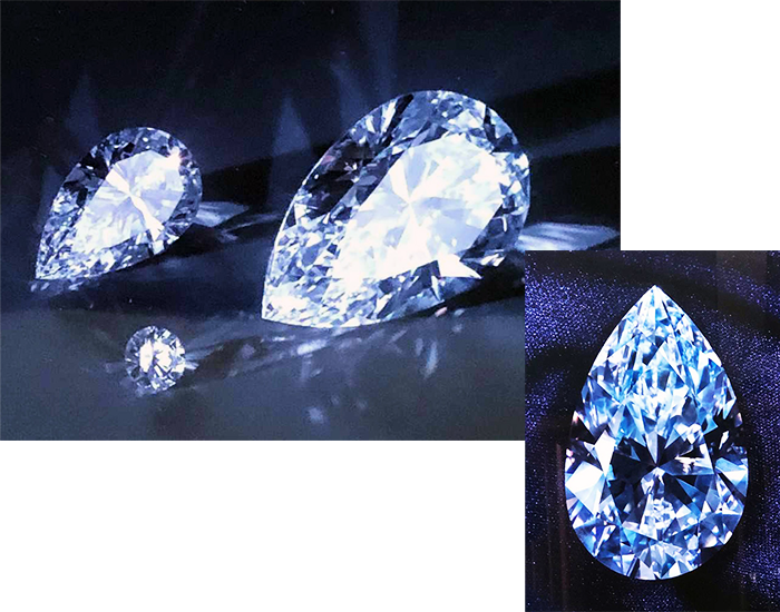 Premier Rose Diamonds | Jacques Mouw Precious Jewels