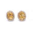 Diamond Yellow Oval Halo Stud Earrings 3.13 Carats in Platinum and 18K Yellow Gold with GIA Certificate