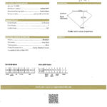 Natural Diamond Flower Necklace Pear and Rounds 2.59 Carats E-F Color GIA Certs.