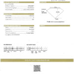 Natural Diamond Flower Necklace Pear and Rounds 2.59 Carats E-F Color GIA Certs.