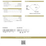 Natural Diamond Flower Necklace Pear and Rounds 2.59 Carats E-F Color GIA Certs.