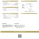 Natural Diamond Flower Necklace Pear and Rounds 2.59 Carats E-F Color GIA Certs.