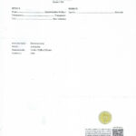 Diamond Tennis Cut Racket 4.34 carats Necklace 18K YG with GIA Certificate.