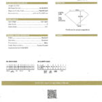 Diamond Flower Pear Shape and Round  Ring 2.72 Carats D-F Color GIA Certificates